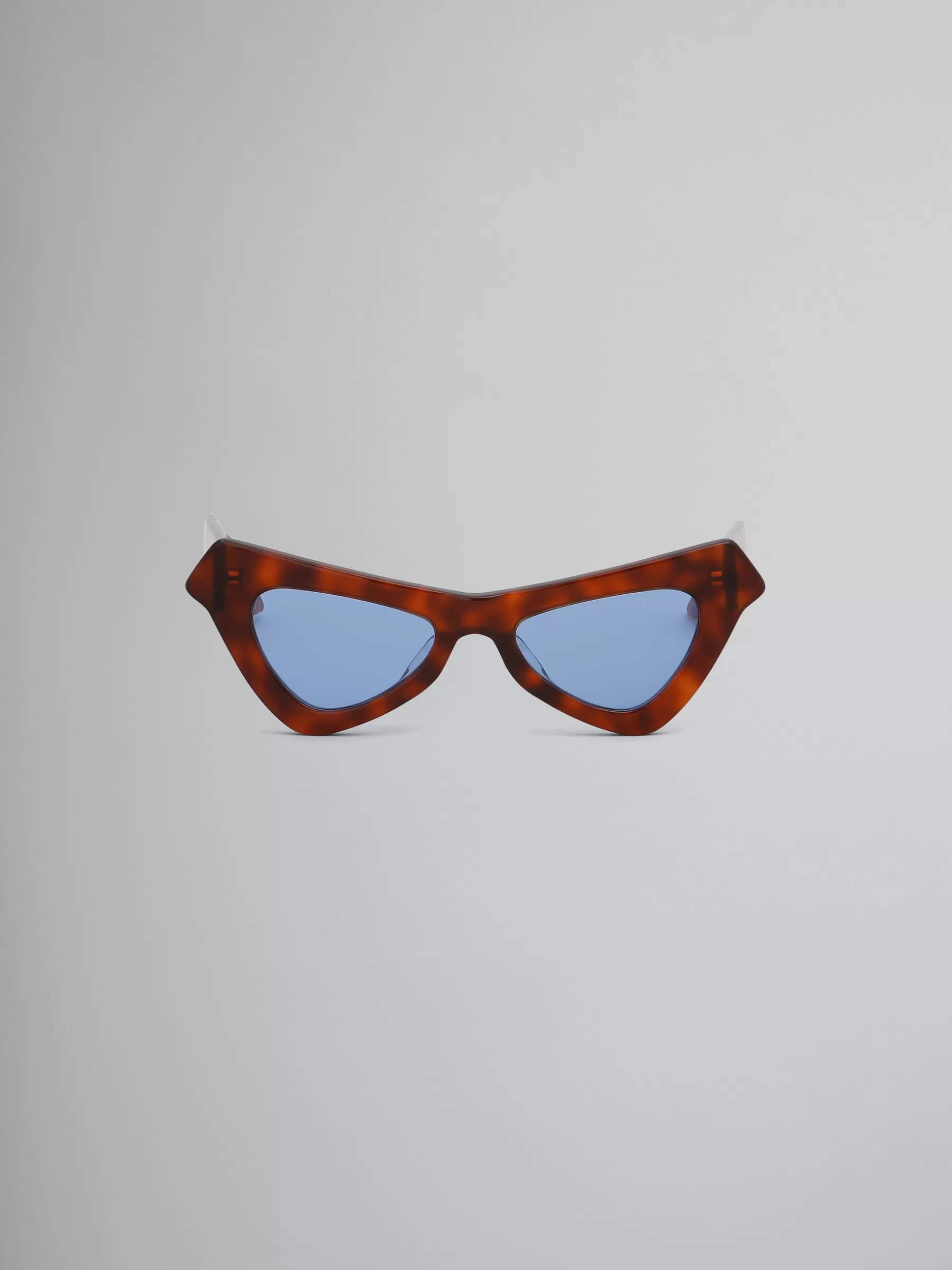Marni Tortoiseshell Fairy Pools Acetate Sunglasses HAVANA Outlet